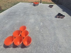 20250524 155236 1748121204 Basket-Pong